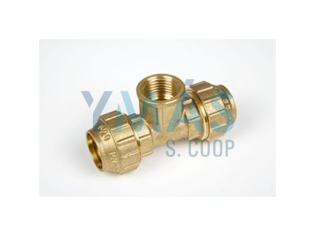 TE EGB ROSCA HEMBRA POLIETILENO 20 X 1/2" LATON EBF