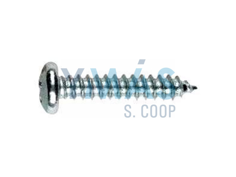 TORNILLO DIN-7981 ROSCA-CHAPA 3,9 X 38MM CABEZA PH2 ZINCADO