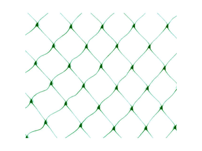 MALLA ANTIPAJARO 4 X 6M VERDE NATUUR