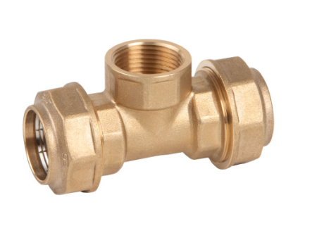 TE EGB ROSCA HEMBRA POLIETILENO 25 X 3/4" LATON EBF