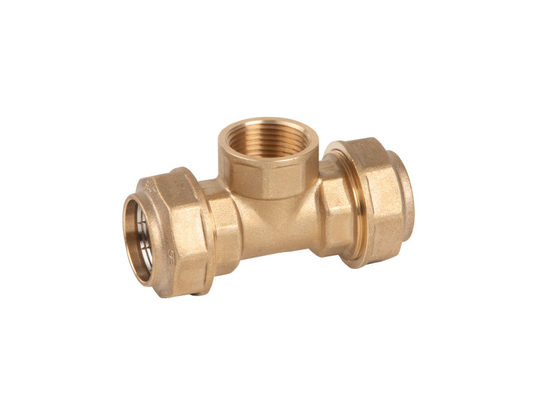 TE EGB ROSCA HEMBRA POLIETILENO 25 X 3/4" LATON EBF
