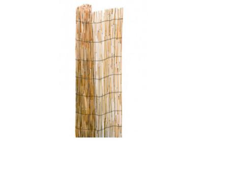 CAÑIZO BAMBU PELADO 2 X 5M NATUUR