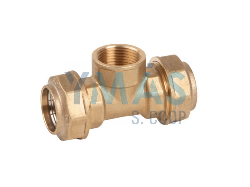 TE EGB ROSCA HEMBRA POLIETILENO 20 X 1/2" LATON EBF